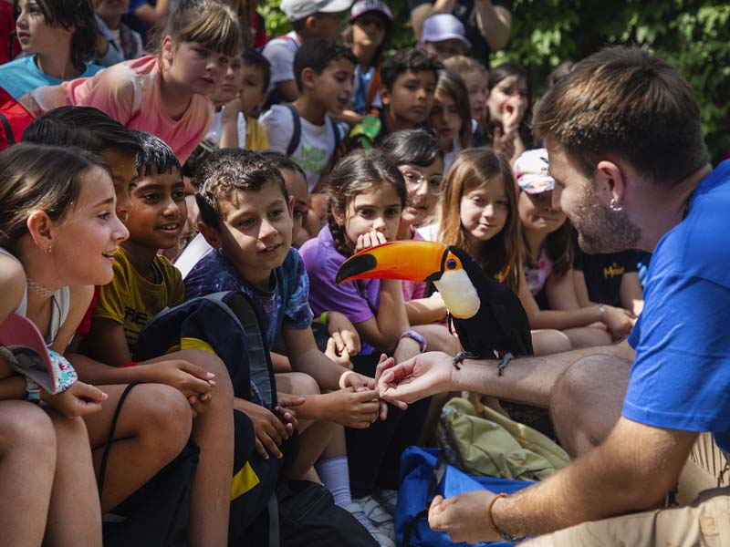 Campamentos de verano en Selwo Marina