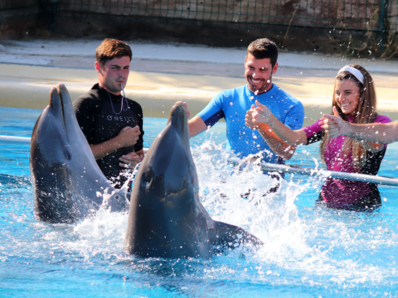 Encuentro con delfines en Selwo Marina