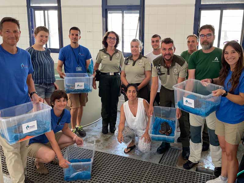 Equipo de conservación de Selwo Marina en la recogida de las tortugas boba