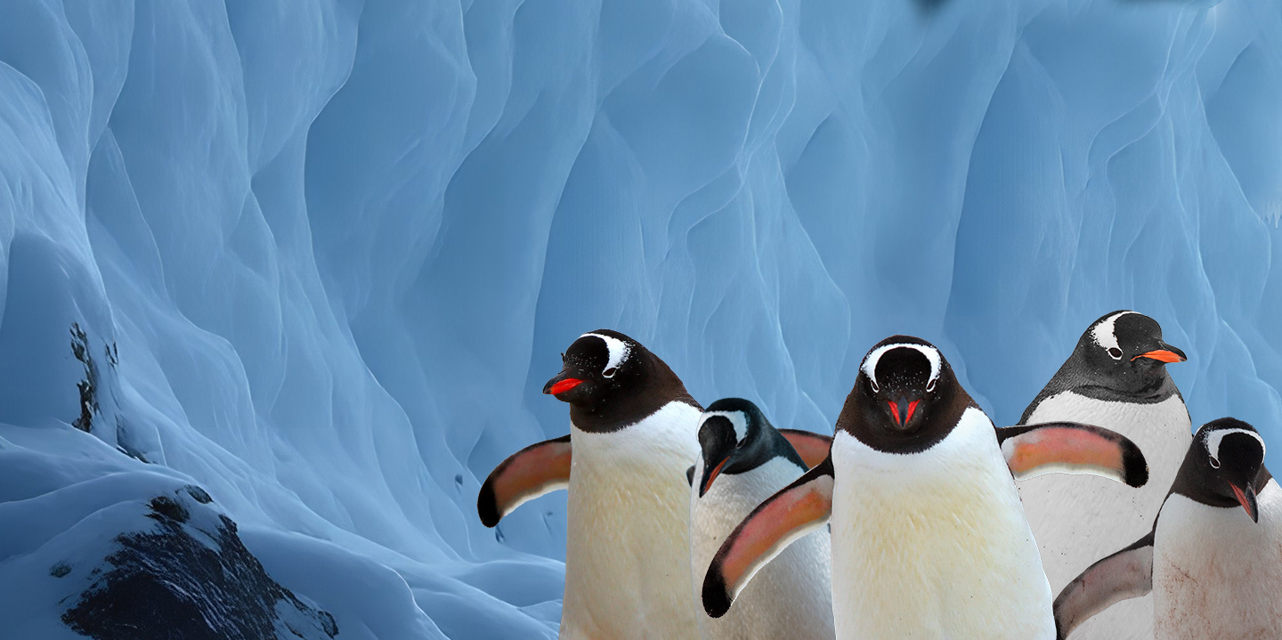 Group of penguins in Selwo Marina Benalmádena